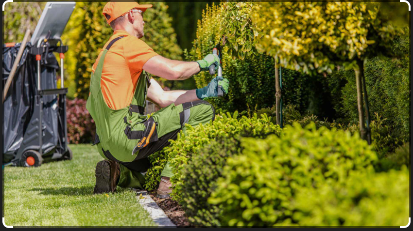 Landscaping Services